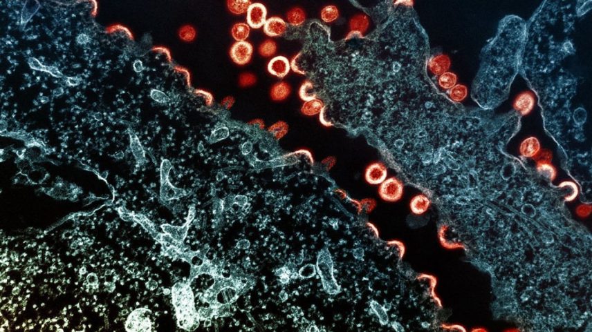 HIV: dois novos casos de cura são anunciados