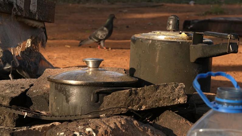 Menos de 2,5% da população se encontra em risco de subnutrição ou falta de acesso à alimentação suficiente desde julho de 2025