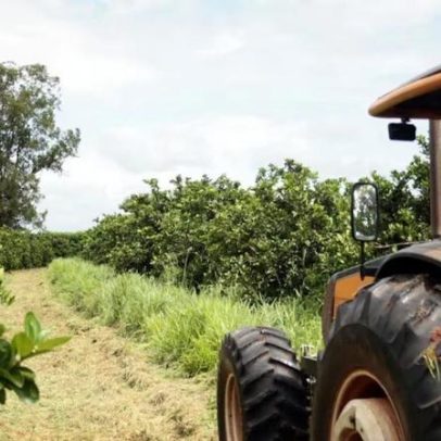 Inverno evidencia papel do clima e da inovação na agricultura brasileira