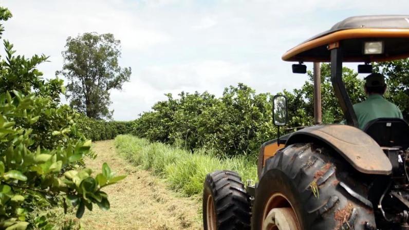 São Paulo foi responsável por 18,6% das exportações do agro brasileiro em...