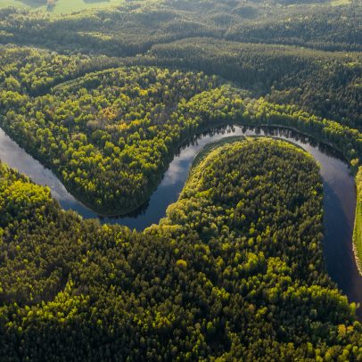 Desmatamento cai na Amazônia para menor patamar desde 2018