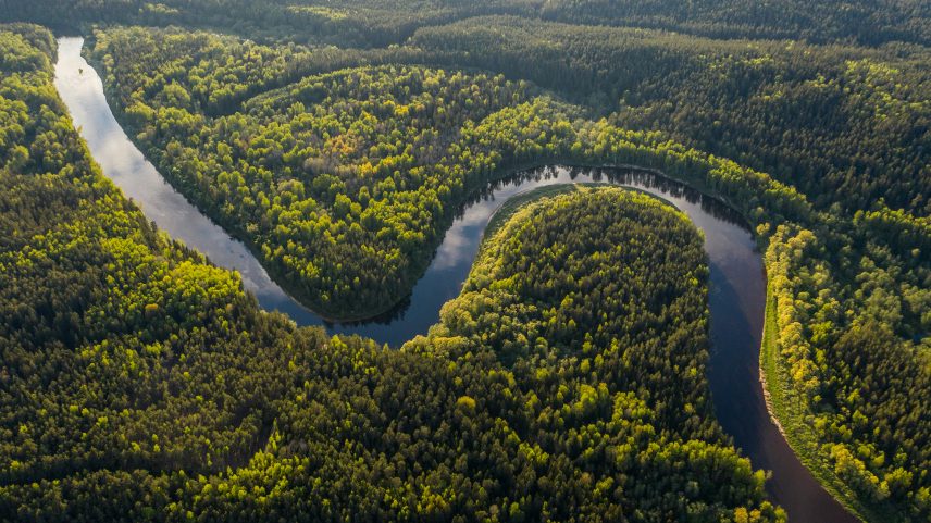Desmatamento cai na Amazônia para menor patamar desde 2018