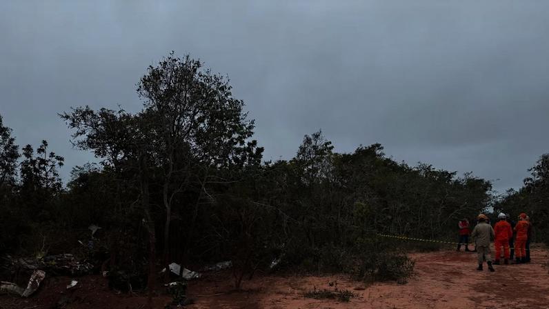 Piloto e pesquisadora alemã especialista em tamanduás morrem após queda de avião no MS