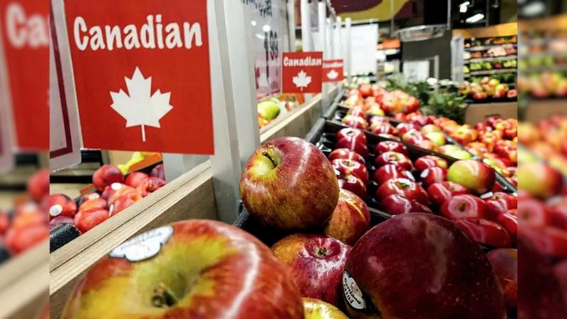 EXEMPLO - Da consulta ao hortifrúti: Canadá fez aposta ampla para controlar a doença (Artur Widak/NurPhoto/Getty Images)