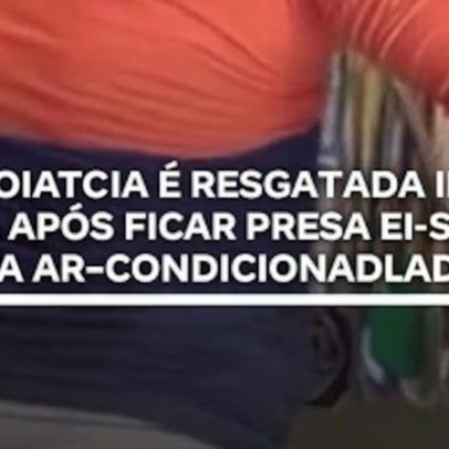Jiboia é resgatada após ficar presa em ar-condicionado