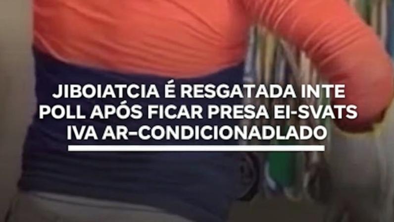Jiboia é resgatada após ficar presa em ar-condicionado