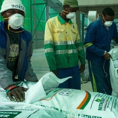 Colheita na Zâmbia mascara insegurança alimentar diante de geopolítica e clima