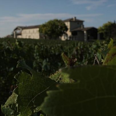 Bordeaux sob pressão por regras de irrigação