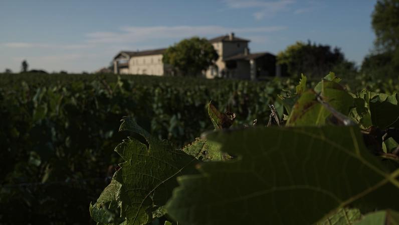 All six wines in the Société Civile du Château Lafleur group become Vins de France in the withdrawal last year (Château Lafleur, Les Pensées, Les Perrières, Les Champs Libres,, Château Grand Village Rouge and Château Grand Village Blanc in Mouillac, Fronsac)