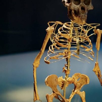 Lucy, fóssil de 3,2 milhões de anos, deixa a Etiópia após 20 anos