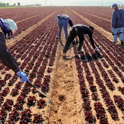 Anterra aposta em tecnologias comprovadas para transformar o agro