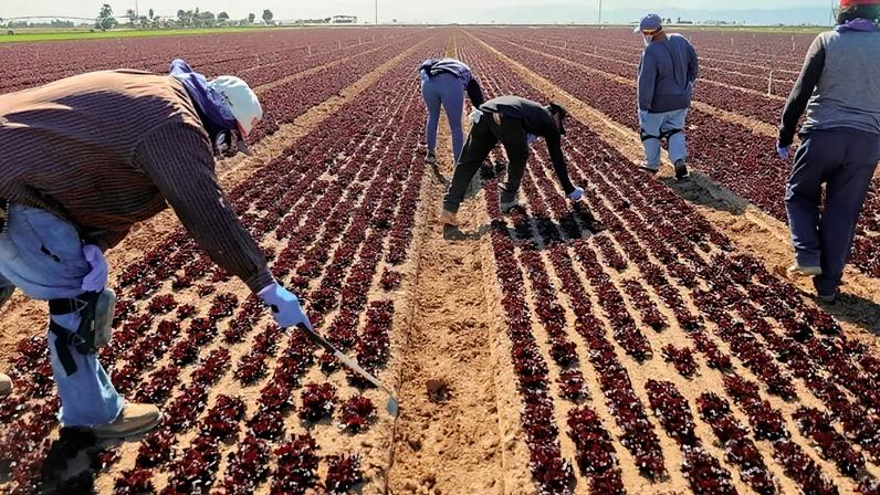 Produtores são incentivados a melhorar tecnologias