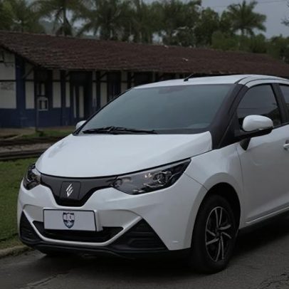 Venda do carro elétrico mais barato do Brasil é suspensa; veja o motivo