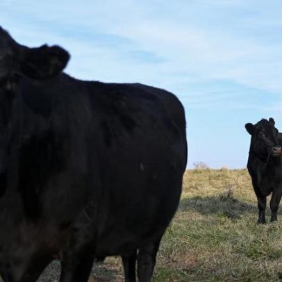 Carne bovina dos EUA avança na China diante restrições a Brasil e Austrália