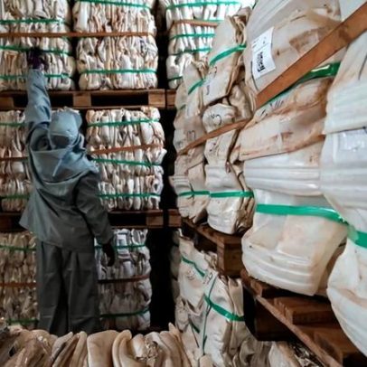 Brasil se torna referência global em logística reversa no agronegócio