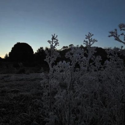 Frio derruba temperaturas; Sul recebe alerta de geadas e previsão