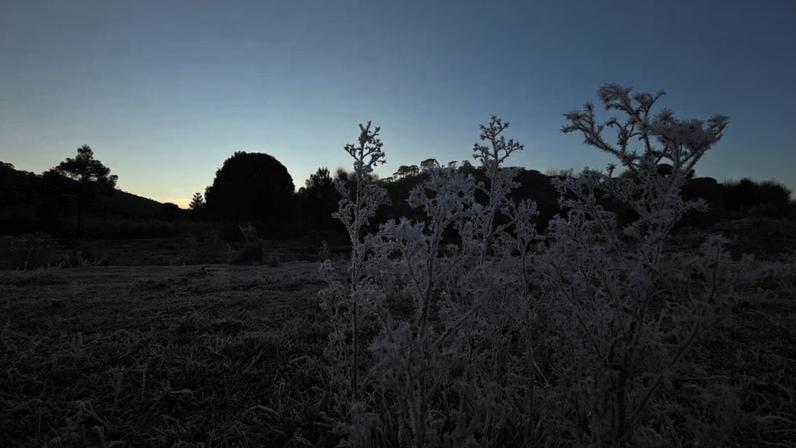 Massa de ar frio derruba temperaturas e Sul tem alerta para geadas; veja previsão
