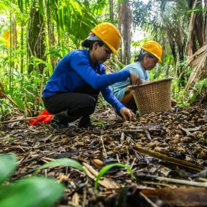 Natura cria startup para levar bioeconomia amazônica ao mercado mundial