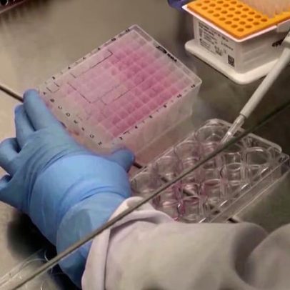 Brasil investe em biodiversidade para desenvolver IFA, insumo de remédios