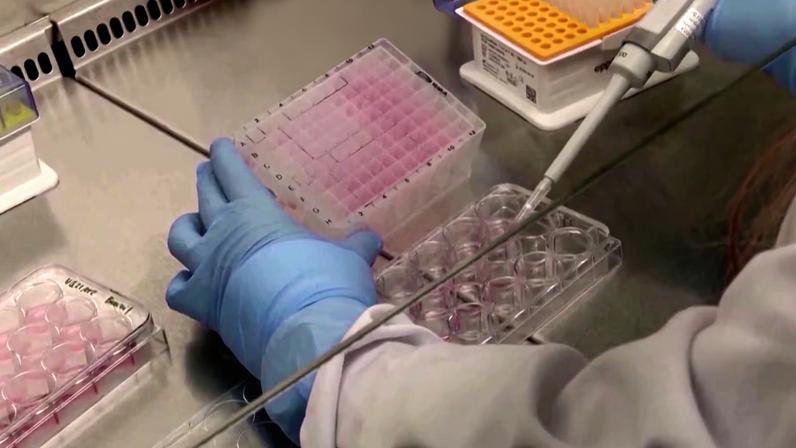 Brasil investe em biodiversidade para desenvolver IFA, insumo de remédios