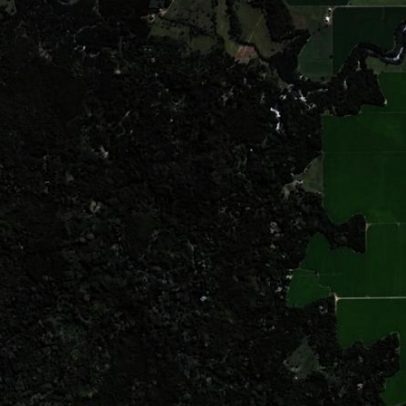 Planeta fica mais verde, mas alerta persiste