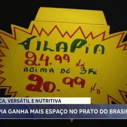 Tilápia conquista espaço nas mesas brasileiras, mas consumo de peixe segue baixo