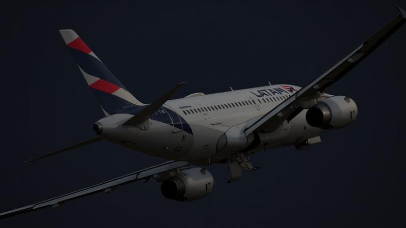 Colisão com pássaro na decolagem faz voo retornar ao aeroporto
