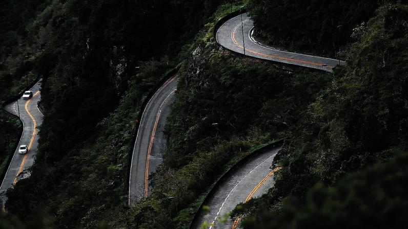 Diante da sinuosidade da vida, andar em linha reta é sempre uma virtude?