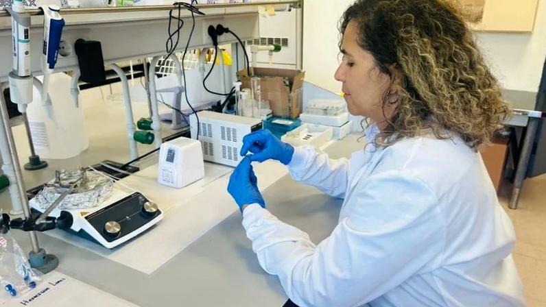 Novo método reduz custos na produção da peça-chave do hidrogênio verde