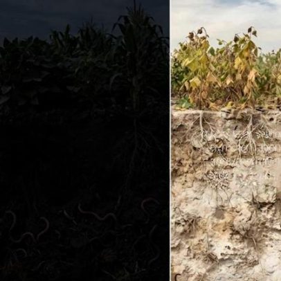 Solo pode esconder crise ambiental de maior escala