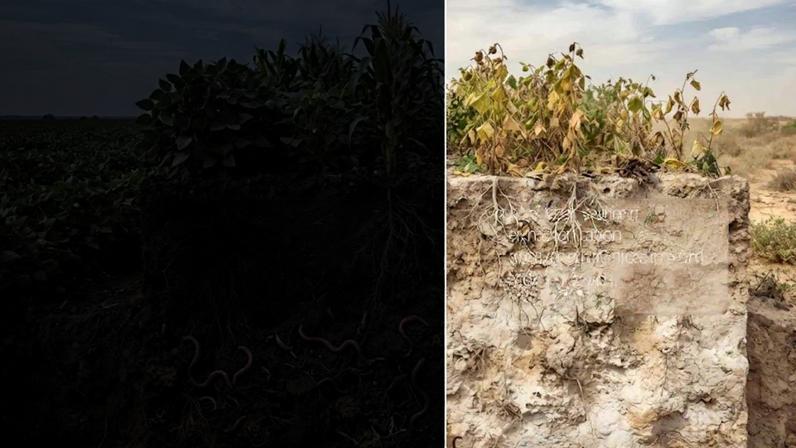 Solo pode esconder crise ambiental de maior escala