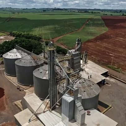 Brasil estoca metade da safra e aumenta custos logísticos
