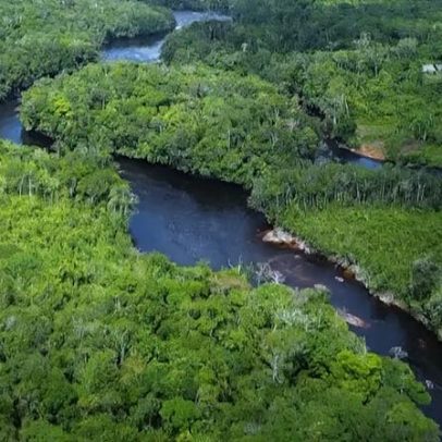 Brasil tem vantagens para liderar economia de baixo carbono, aponta estudo