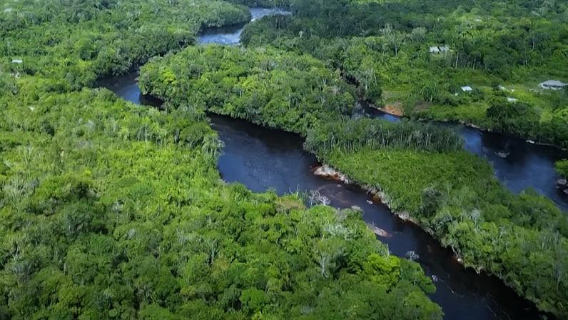 Brasil tem vantagens para liderar economia de baixo carbono, aponta estudo