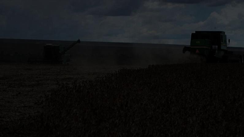 Trabalhadores colhem soja em uma fazenda na cidade de Primavera do Leste, no estado do Mato Grosso