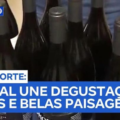 Festival reúne vinhos e alta gastronomia à beira-mar no litoral norte