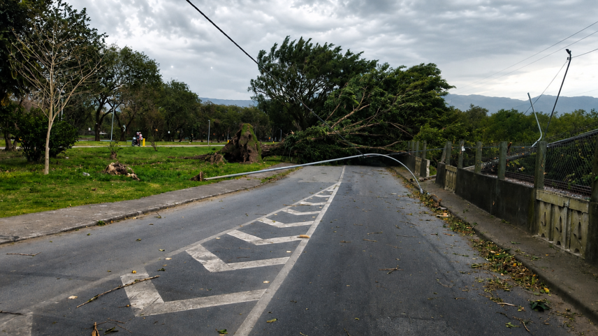 Defesa Civil de São Paulo alerta para rajadas de vento de 100 km/h na cidade e litoral