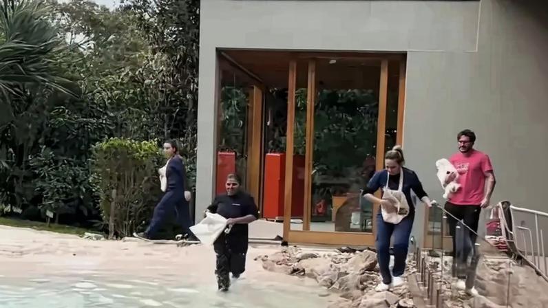 Viih Tube lança reality com funcionários (Reprodução/Instagram)