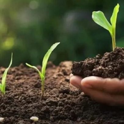 Brasil e Noruega ampliam parceria no comércio de fertilizantes