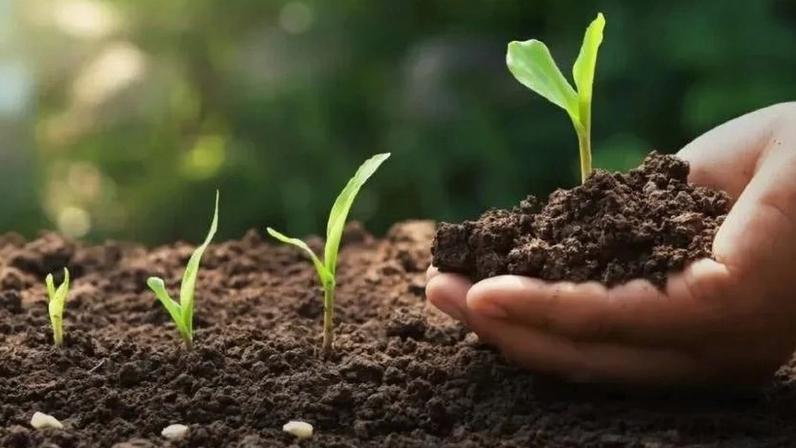 Brasil e Noruega ampliam parceria no comércio de fertilizantes