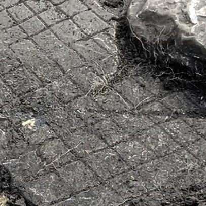 Arqueólogos recriam em 3D jogo de tabuleiro romano de 1700 anos