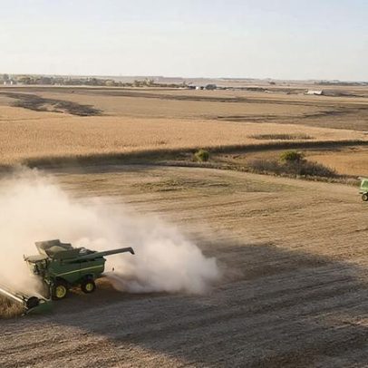 Biodiversidade passa a integrar agenda de comunicação do agro brasileiro