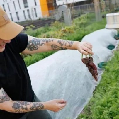 Tecnologia sozinha não basta para salvar sistemas alimentares falhos
