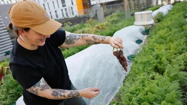 Cultivadora de vegetais em hortas urbanas em Toronto, no Canadá