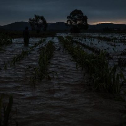Governo cria grupo de trabalho para avaliar impactos do El Niño no agro