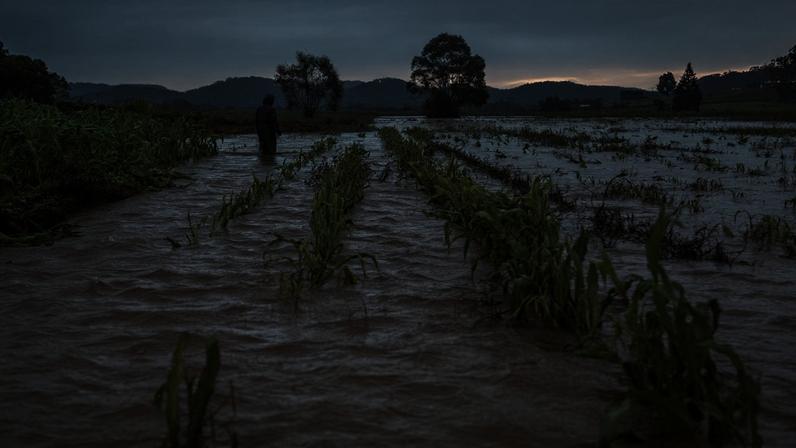 El Niño pode provocar secas em algumas regiões e chuvas intensas outras, o que afeta lavouras de forma direta