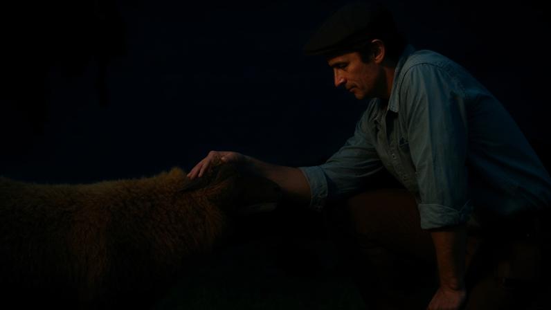 O filme As Ovelhas Detetives é estrelado pelo ator Hugh Jackman — Foto: Divulgação/Amazon Studios