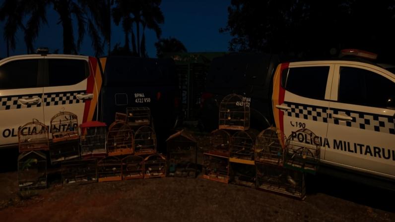 PMDF resgata 22 aves silvestres mantidas ilegalmente em cativeiro