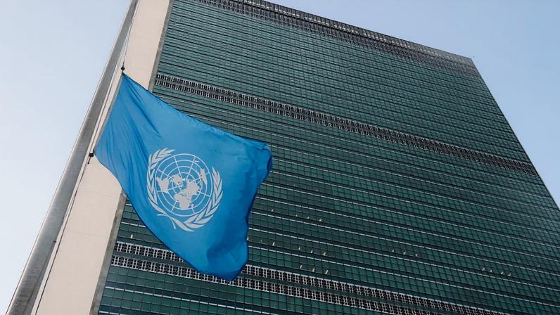 As entidades pedem que a ONU questione o Estado brasileiro sobre a revogação da norma e defenda a retomada da resolução