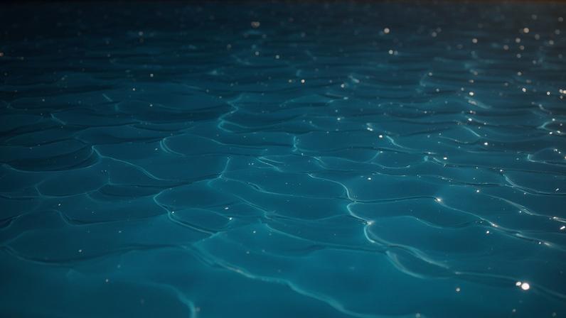 Vincent Lorenzo Fiordilino foi levado ao hospital após ser encontrado de bruços na piscina